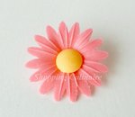 Marguerite rose carmin